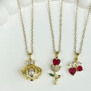 Collar de Acero Inoxidable
